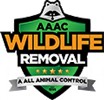 AAAC WIldlife Removal of Tampa Bay