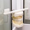 Immediate Dentistry 24/7
